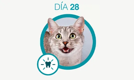 One-Cambios-dia-28_0.png.webp?itok=JJzkBbxq