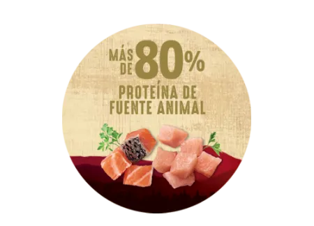 PROTEINA-ANIMAL-NATURALSENSE.png.webp?itok=g3QidwhN
