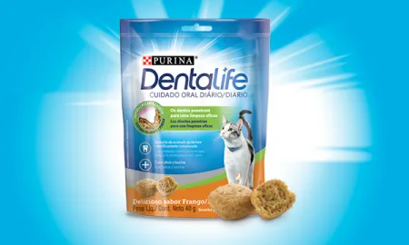Purina%C2%AE%20Dentalife%C2%AE%20Gato%20Frango%20Pollo.png.webp?itok=n1sZJopn Purina%C2%AE%20Dentalife%C2%AE%20Gato%20Frango%20Pollo.png.webp?itok=n1sZJopn