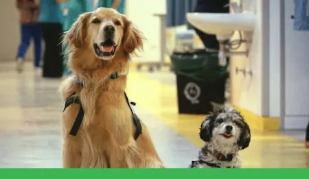 Purina-ayudar-juntos-150Toneladas%282%29.jpg.webp?itok=szwBwa60 Purina-ayudar-juntos-150Toneladas%282%29.jpg.webp?itok=szwBwa60
