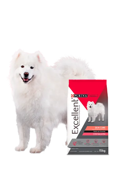 Purina_Chile_excellent_Productos%20home_Salmon_2_0.png.webp?itok=yUOIcEiQ