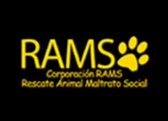 RAMS.jpg.webp?itok=VSbRmBiX RAMS.jpg.webp?itok=VSbRmBiX