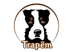 Trapem.jpg.webp?itok=kq64IipP Trapem.jpg.webp?itok=kq64IipP