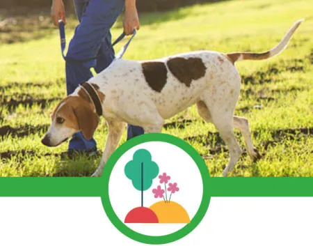 purina-en-la-sociedad-para-el-planeta.jpg.webp?itok=JrLHKs7S purina-en-la-sociedad-para-el-planeta.jpg.webp?itok=JrLHKs7S