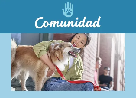 purina-img-community.jpg.webp?itok=2OWJQBns purina-img-community.jpg.webp?itok=2OWJQBns