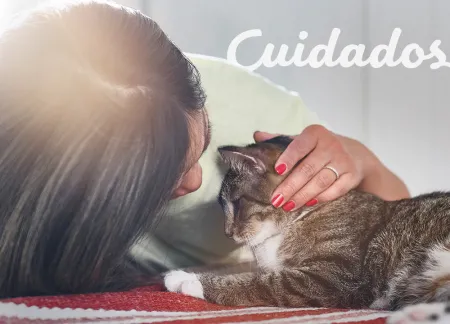 purina-img-cuidados.jpg.webp?itok=GruaxAoO purina-img-cuidados.jpg.webp?itok=GruaxAoO