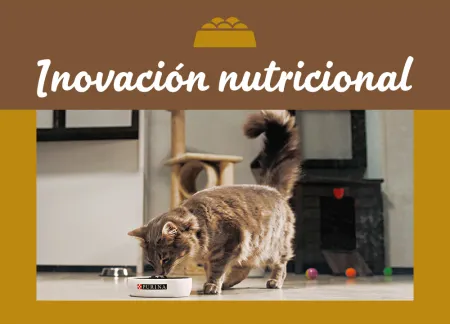 purina-img-nutrition.jpg.webp?itok=B27ijjzM purina-img-nutrition.jpg.webp?itok=B27ijjzM