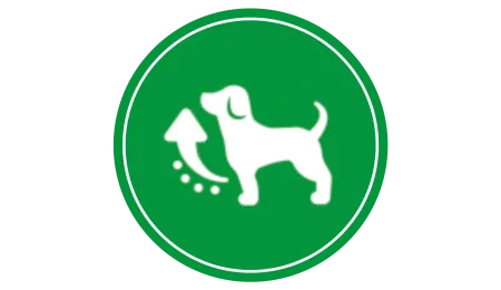 dog-chow-dry-crecimiento.png.webp?itok=ojReFWME