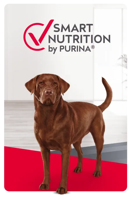 Smart Nutrition perros