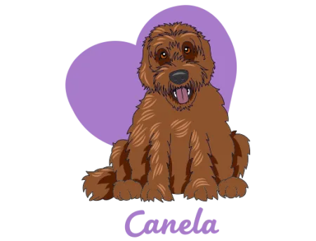 Canela