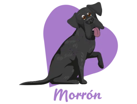 Morrón