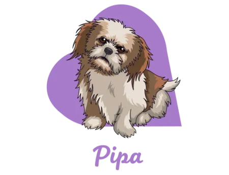 Pipa