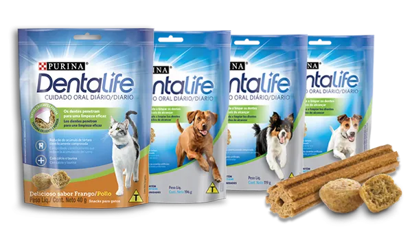 Purina®-Dentalife®-Chile-Productos.png