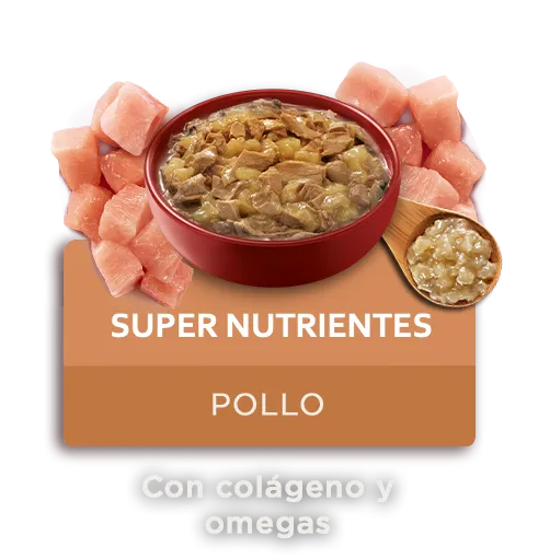 purina-one-supernutrientes-perros.png