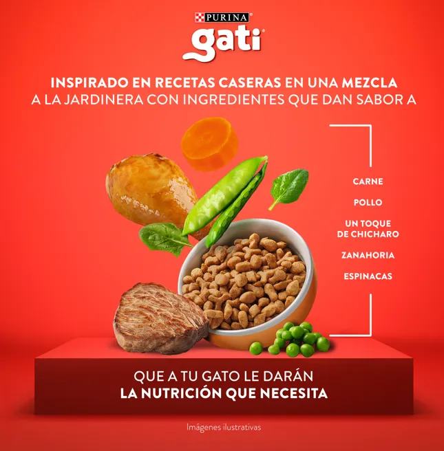 gati_inspirado_en_recetas