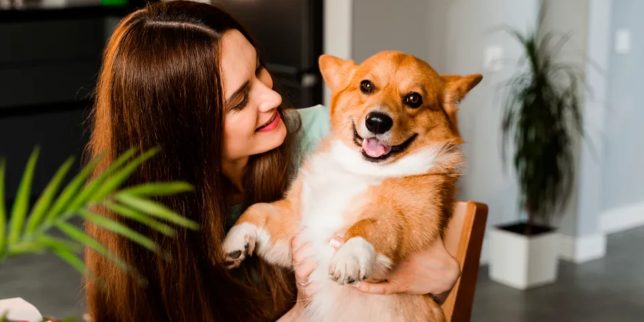 CORGI-940X470-CARACTER.png