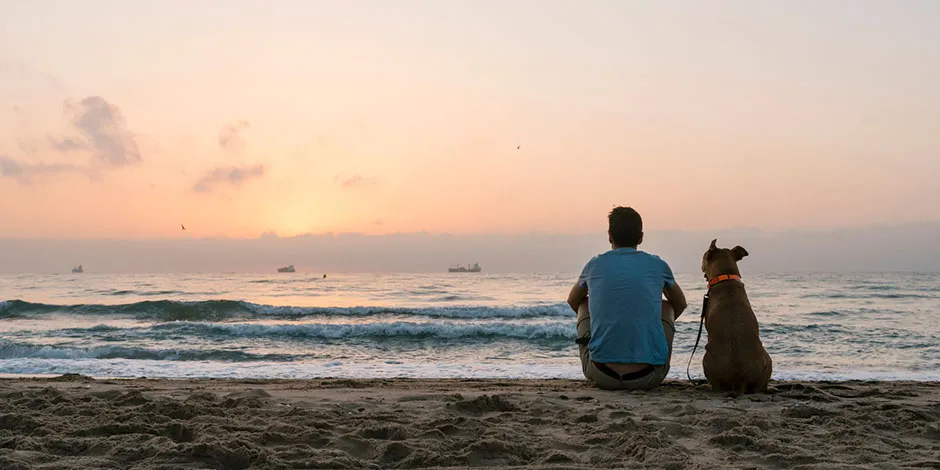 Viajar con mascotas fortalece la relación entre el animal y su tutor, como en esta experiencia junto al mar.