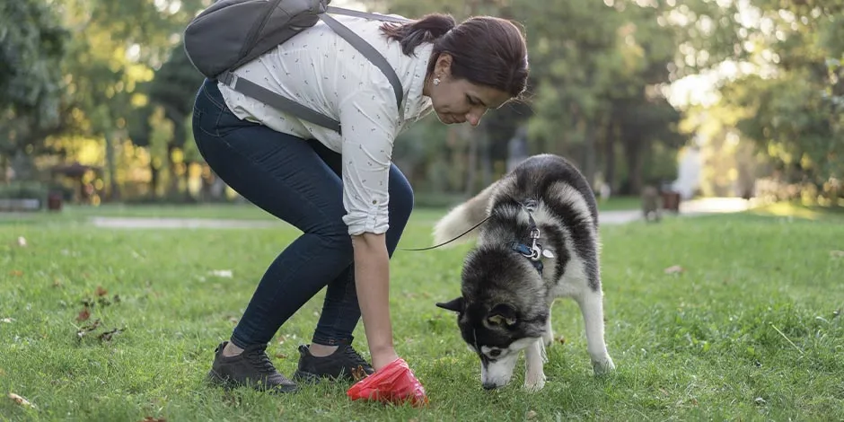 Tutora recogiendo heces de su mascota. Educar a un perro para ir al baño también implica este deber.