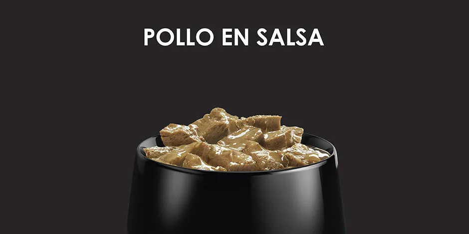 Alimento húmedo de pollo en un tazón, ideal para perros viejos con pocos dientes.