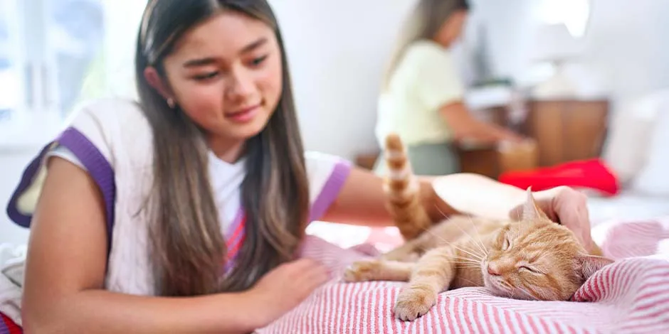 Gatito sobre la cama junto a su tutora. Cuida la higiene de tus mascotas sin descuidar la de tu hogar.