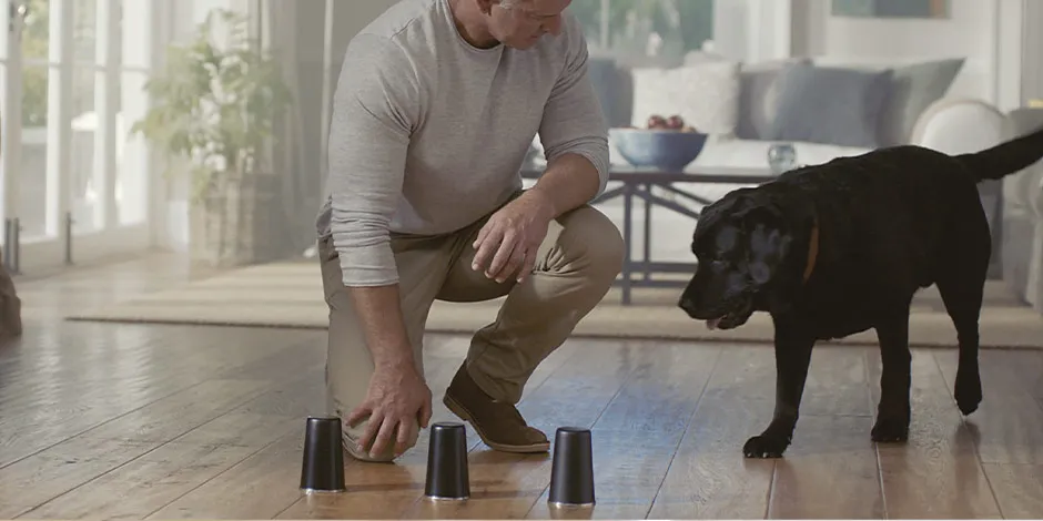 Si piensas “mi perro no quiere comer, ¿qué hago?”, algunos juegos pueden ayudar. Tutor jugando con su mascota.