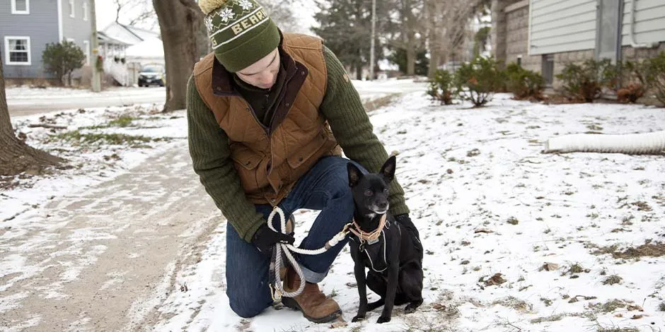 Las temperaturas extremas pueden generar problemas de piel en perros. Tutor y mascota paseando en invierno.